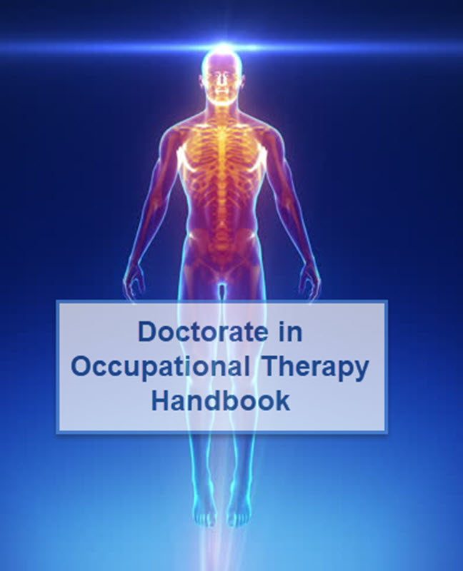 Cover image for Doctorate in Occupational Therapy Handbook