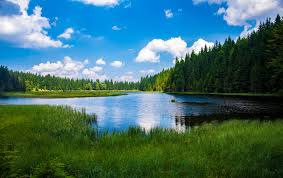 This image shows a lake on the left, and a rake on the right. The lake is blue and it is surrounded by green grass and trees. The sky is bright blue with large, white clouds. The rake is brown with a silver, metal support across the front. The rake is pictured outside on the grass, with several brown leaves surrounding it. " style="height: 377px; width: 500px;"####:image guid="dc9a5652-50ee-4e6b-a166-86382a4add7b" alt="ALT TEXT: This image shows a lake on the left, and a rake on the right. The lake is blue and it is surrounded by green grass and trees. The sky is bright blue with large, white clouds. The rake is brown with a silver, metal support across the front. The rake is pictured outside on the grass, with several brown leaves surrounding it.
