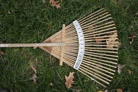 This image shows a lake on the left, and a rake on the right. The lake is blue and it is surrounded by green grass and trees. The sky is bright blue with large, white clouds. The rake is brown with a silver, metal support across the front. The rake is pictured outside on the grass, with several brown leaves surrounding it. " style="height: 377px; width: 500px;"####:image guid="dc9a5652-50ee-4e6b-a166-86382a4add7b" alt="ALT TEXT: This image shows a lake on the left, and a rake on the right. The lake is blue and it is surrounded by green grass and trees. The sky is bright blue with large, white clouds. The rake is brown with a silver, metal support across the front. The rake is pictured outside on the grass, with several brown leaves surrounding it.