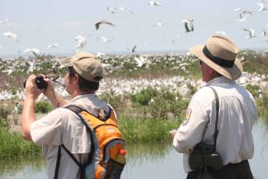This image shows two adult males standing by a body of water watching birds. The man on the left is wearing a backpack and holding binoculars, and the man on the right is wearing a forest ranger uniform.