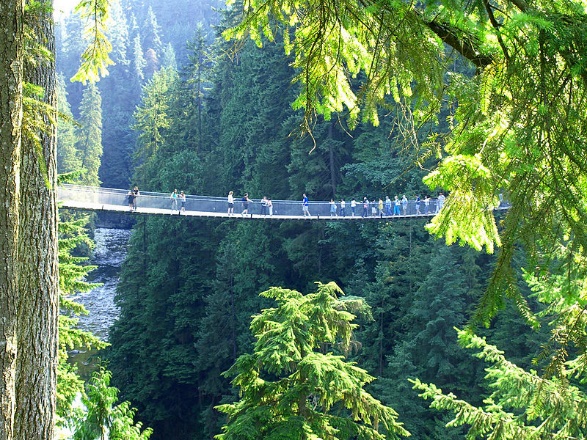 This image shows a suspension bridge outside above a river. The bridge is surrounded by green trees, and there are several people walking across the suspension bridge.