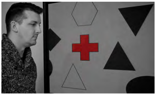 Nearly one third of participants in a study did not notice that a red cross passed on the screen because their attention was focused on the black or white figures. This image shows a male looking at a board that has different shapes in black and white, and one cross that is red. (credit: Cory Zanker)