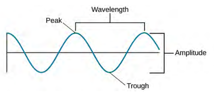 This image shows a horizontal wave length. The top of the wave is labelled peak, the bottom of the wave is labelled trough, and the space in-between waves is labelled wavelength. The horizontal line cutting through the entire wave is labelled amplitude.