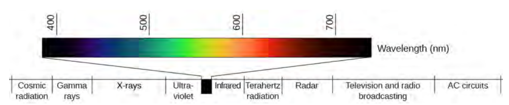 Different wavelengths of light are associated with our perception of different colors. This image shows a horizontal bar that starts off darker on each end and moves to brighter colors towards the middle. The bar is labelled as wavelength (nm) from left to right: 400, 500, 600 and 700. The following labels are included below the bar from left to right: cosmic radiation, gamma rays, x-rays, ultraviolet, infrared, terhertz radiation, radar, television and radio broadcasting, and AC circuits. (credit: modification of work by Johannes Ahlmann)