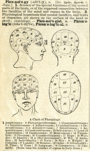 This image shows the definition of phrenology along with a chart of the skull, which appeared in Webster’s Academic Dictionary, circa 1895. There are four different drawings of a human head in this image. The image in the top left corner is a profile view. The brain is divided up into 35 different sections, each labeled with a number. The image in the top right corner shows the back of the head and neck. The image in the bottom left corner shows a frontal view of a human head. The image on the bottom right shows an aerial view of the human head. The sections and numbers from each of the heads have corresponding traits assigned at the bottom of the images.