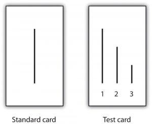 This image shows the cards that were used in the study conducted by Asch. Both cards are white and aligned vertically with a space in between. The card on the left is labeled “Standard Card,” and it has one, solid black line drawn vertically in the center. The card on the right is labeled “Test Card” and it has three vertical lines drawn on it. The lines decrease in size from left to right, with the largest line on the far left labeled, “1,” the second line slightly shorter in the middle labeled “2,” and the line on the far right, which is the shortest of the lines, is labeled “3.”