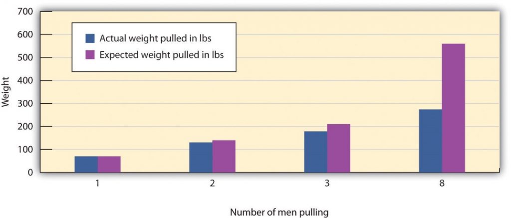 This chart shows the results from Ringelmann’s study. The bar graph pictured demonstrates the amount of weight that was pulled in each situation. The x-axis is labelled “Number of Men Pulling,” and the y-axis is labelled “Weight.” The x-axis has the following values from left to right: 1, 2, 3, and 8, indicating the number of men pulling. The y-axis has the following values starting at 0: 100, 200, 300, 400, 500, 600, and 700. The blue bars represent the actual weight pulled in pounds, and the purple bars represent the expected weight pulled in pounds. When there was one person pulling, both the expected and actual weight pulled was about 800 pounds. When there were two people pulling the actual weight pulled was 120 pounds and the expected weight was 130 pounds. When there were three people pulling the actual weight pulled was 180 pounds and the expected weight pulled was 205 pounds. When there were eight people pulling, the actual weight was 280 pounds, and the expected weight was 550 pounds.
