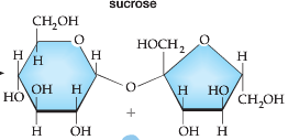 Sucrose