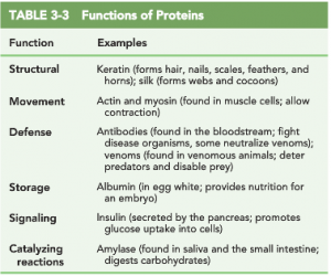 Protein Structure and Function