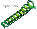 Helix