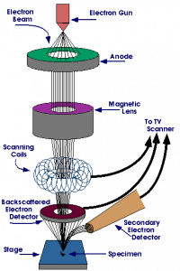 SEM diagram