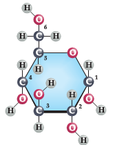 Glucose