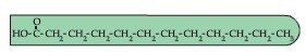 Fatty Acid