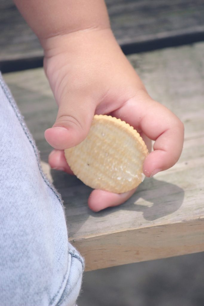 This is a color photo of a child's hand holding a yellow cookie.