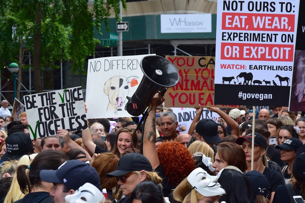 This is a color photograph of a group of people at an animal activist rally. The image shows a crowded street with people holding up signs in protest to protect animals.