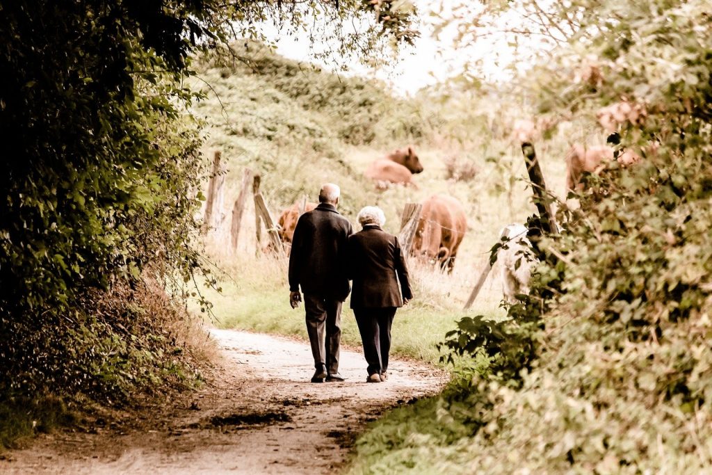 This is a color photograph of an elderly couple walking hand in hand outside. They are walking down a dirt trail with their backs facing the camera. They are surrounded by bushes and trees.