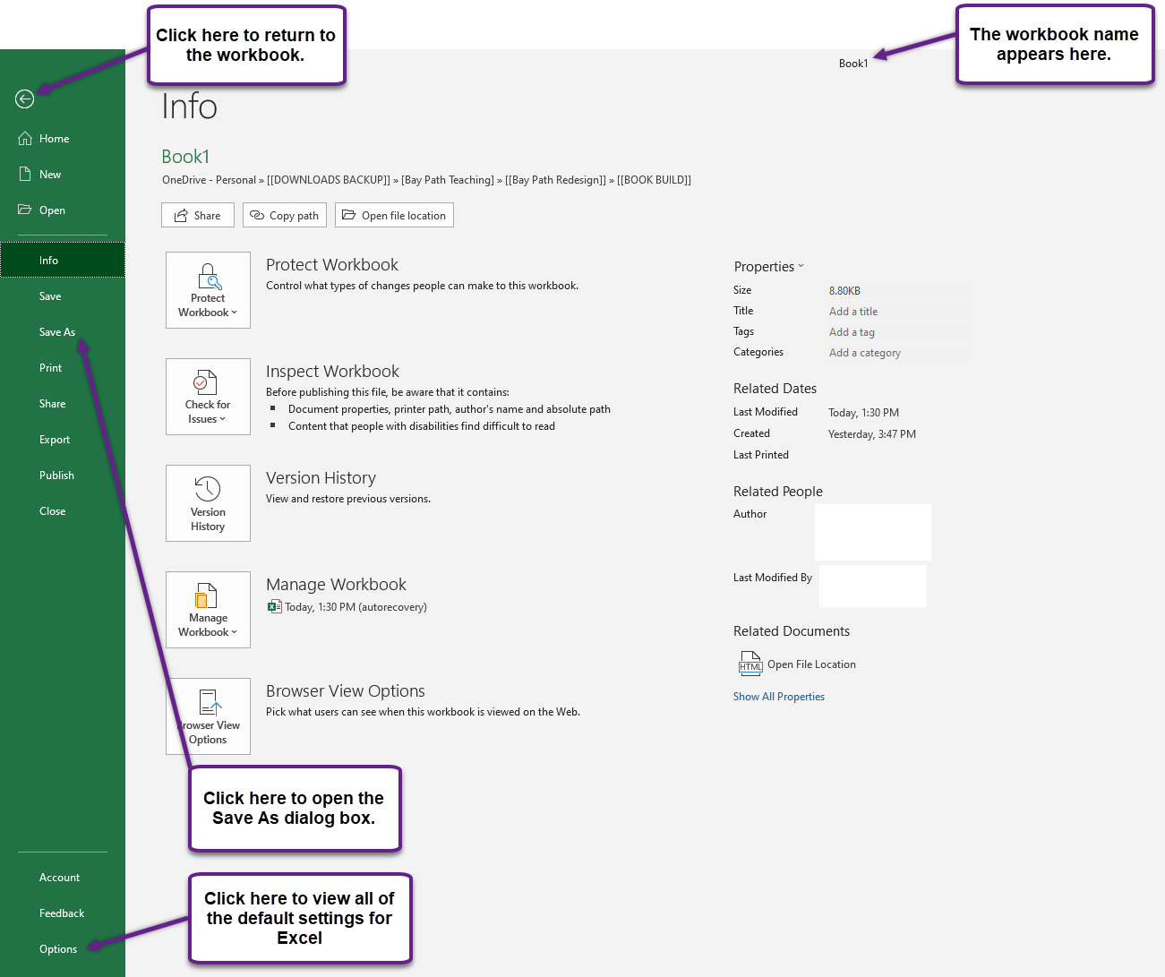 Figure 1.10 File Tab or Backstage View of a Workbook