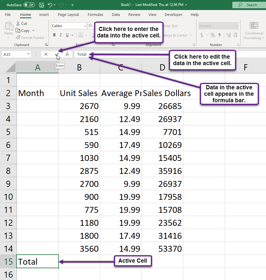 Figure 1.18 Using the Formula Bar to Edit and Enter Data