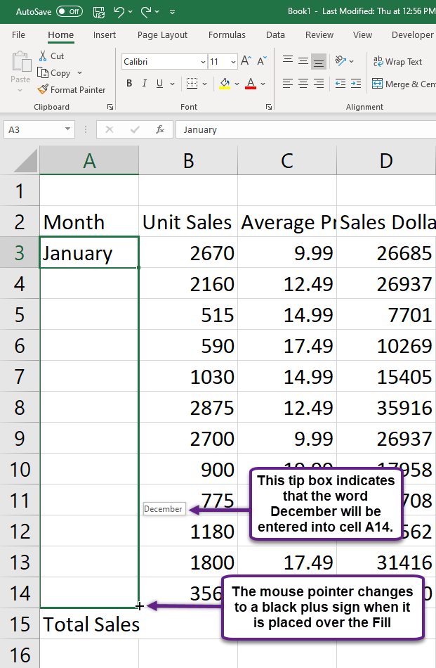 Figure 1.20 Using Auto Fill to Enter the Months of the Year