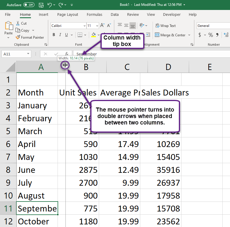 Figure 1.24 Adjusting Column Widths