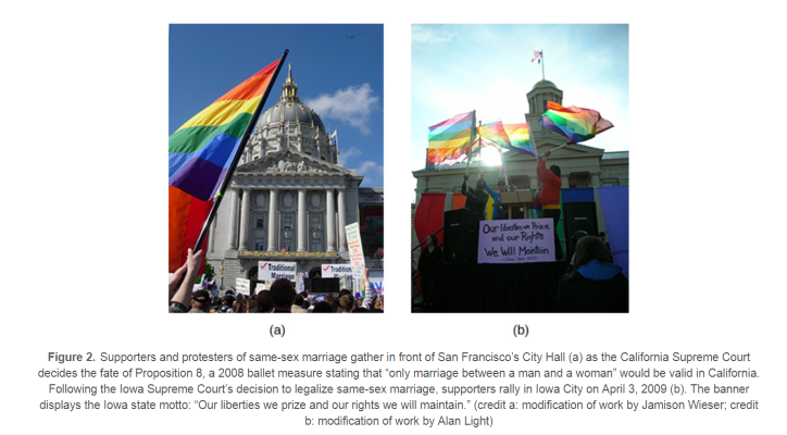 Supporters and protesters of same-sex marriage gather in front of San Francisco’s City Hall (a) as the California Supreme Court decides the fate of Proposition 8, a 2008 ballet measure stating that “only marriage between a man and a woman” would be valid in California. Following the Iowa Supreme Court’s decision to legalize same-sex marriage, supporters rally in Iowa City on April 3, 2009 (b). The banner displays the Iowa state motto: Our liberties we prize and our rights we will maintain.