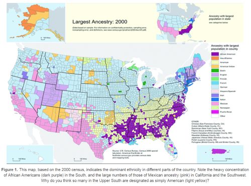 This map, based on the 2000 census, indicates the dominant ethnicity in different parts of the country. Note the heavy concentration of African Americans (dark purple) in the South, and the large numbers of those of Mexican ancestry (pink) in California and the Southwest.